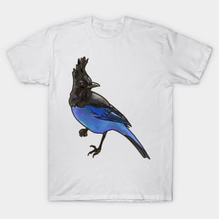 Steller's Jay T-Shirt